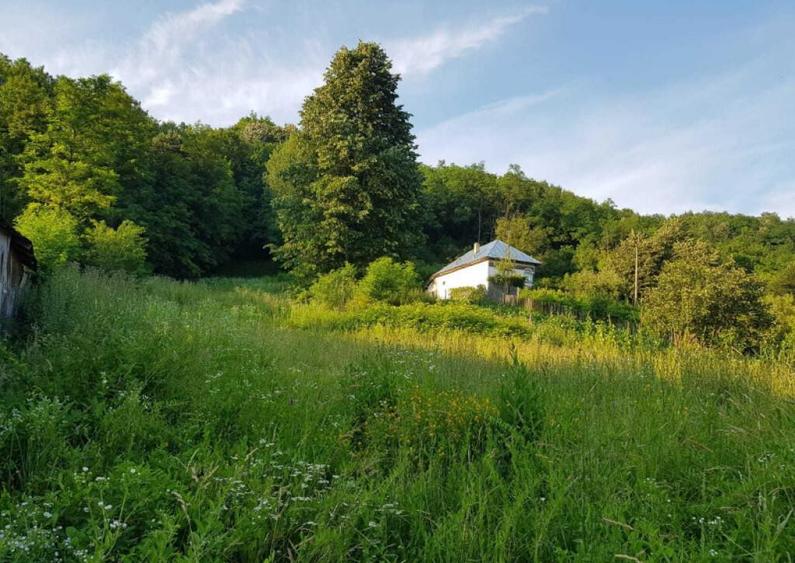 Teren 7000mp Pucioasa - Zona Pitoreasca - 13