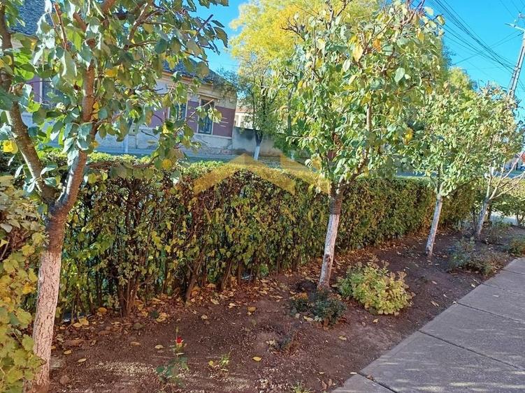 Casa de vanzare in Vladimirescu in zona primariei. - 3