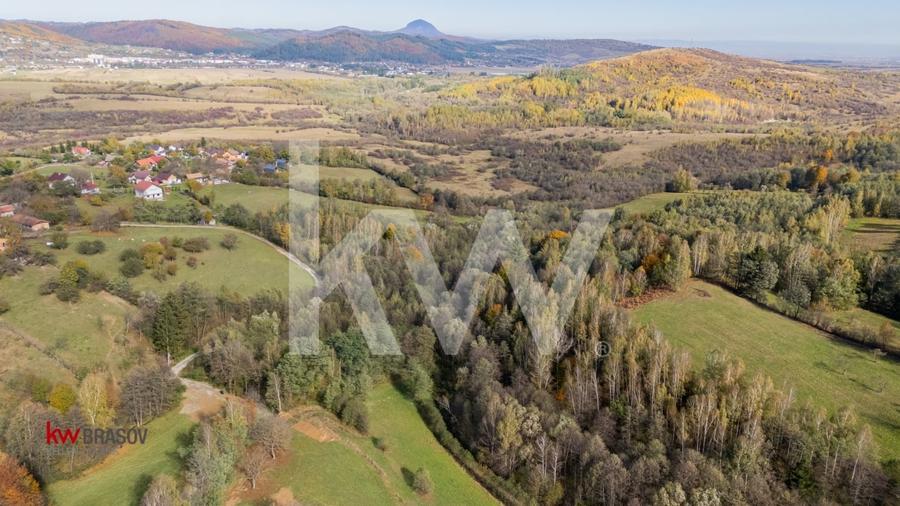 Vanzare teren intravilan 37723 mp Zarnesti Tohanita - 5