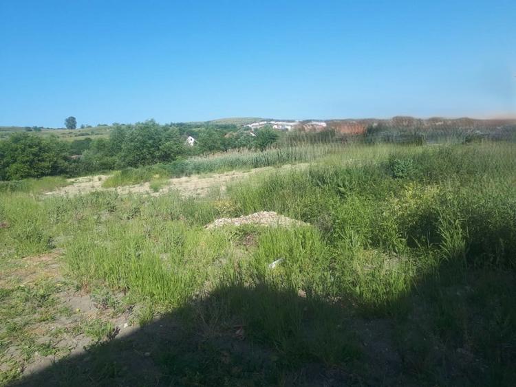 Teren strada Ion Creanga, comuna Chinteni - 1