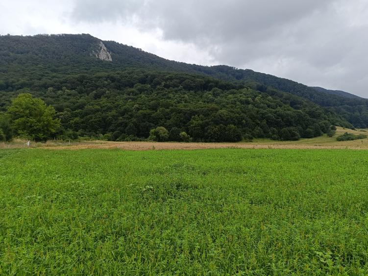 Brașov Bartolomeu,str Cucului , Intravilan 16.500 mp, dezvoltare rezidentiala - 4