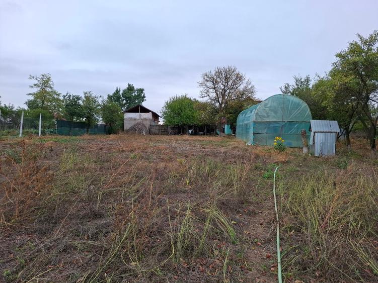 Oportunitate rară: gospodărie completă cu livadă și teren generos în Crâmpoia –  - 12