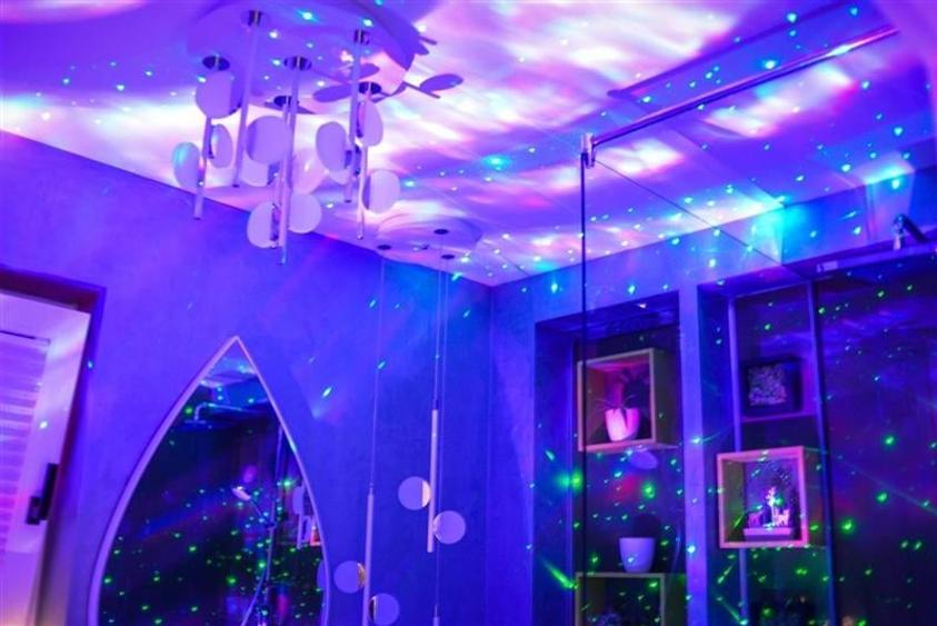 Nivel in vila, in caracter unic, dotari de colectie, terase, parcare securizata, - 6