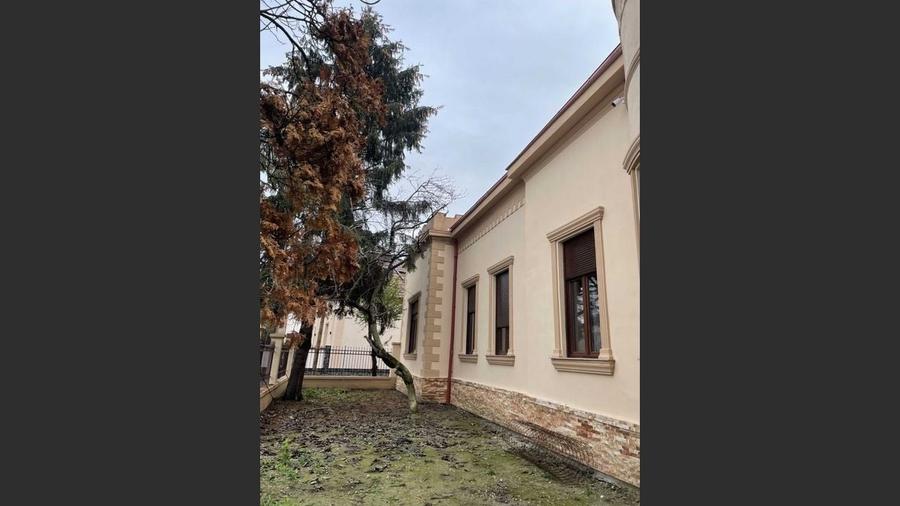 House for sale, 4 Rooms, 200 sqm, 630 sqm, Satu Mare - 5