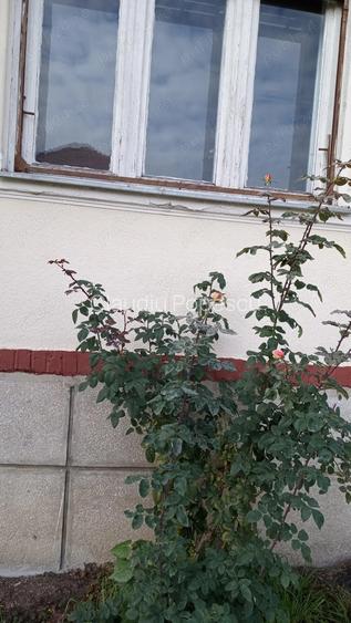 Casa cu 3 camere in centru, pozi?ie deosebita, utilita?i complete