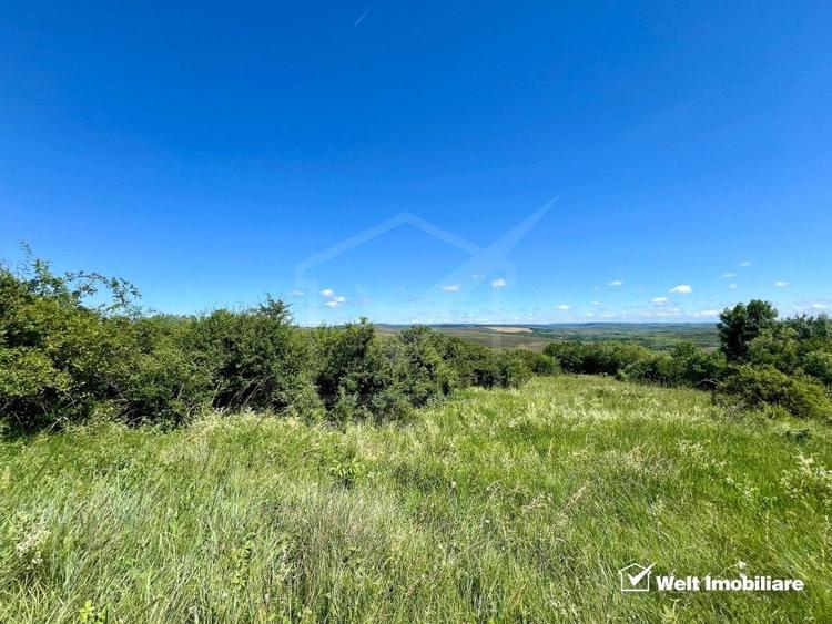 Oportunitate investitie, Chinteni, zona Macicas 31.600 MP - 8