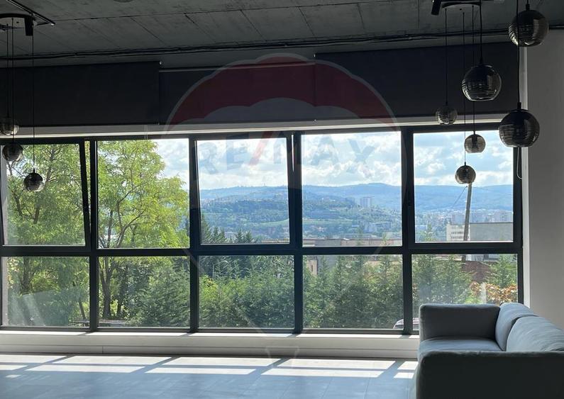 Spa?iu comercial Vanzare cu Chiriasi | Taietura Turcului - 3