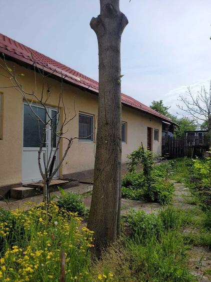 Teren 2712 mp Mischii, sat. Urechesti, Str Florilor, Nr. 56 - INTRAVILAN - 5