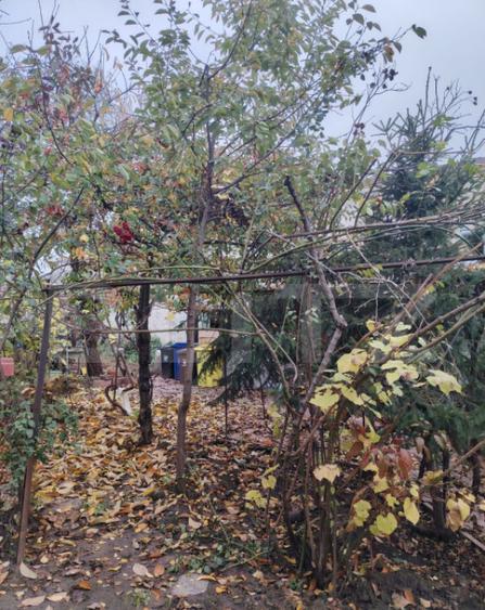 Proprietate in zona Parcului N Romanescu, casa batraneasca s - 2