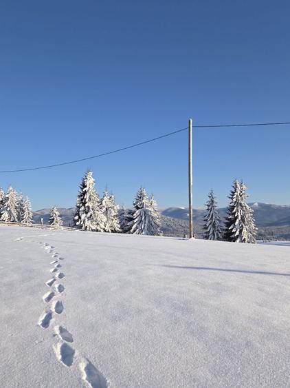 Teren Piatra Fantanele - 4