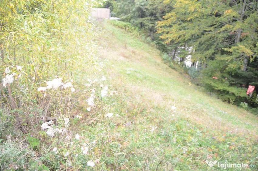 Busteni-Teren de vanzare cu o panorama superba - 2