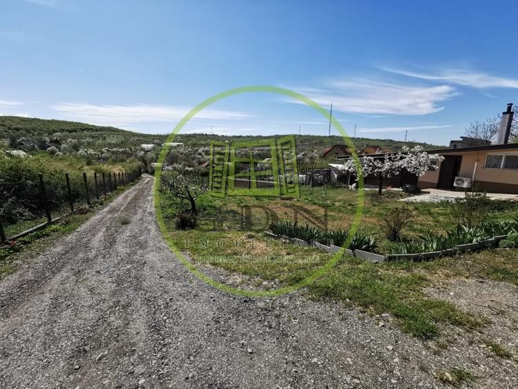 Teren intravilan si extravilan cu anexa gospodareasca amenajata, cu utilitati - 3