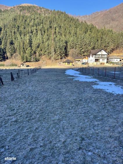 Teren de exceptie in Rucar, aproape de Brasov intimitate, natura s - 2