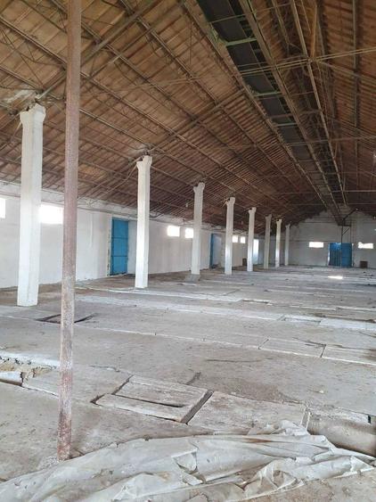 De vanzare baza de cereale cca 40.000 mp, intravinan, Oras Vanju Mare - 3