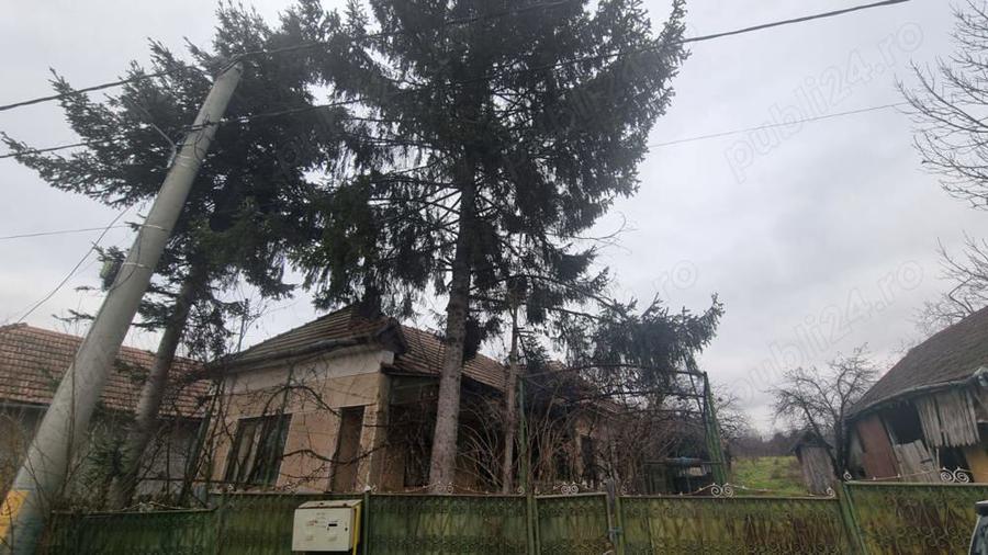 Casa de vanzare Band - 3