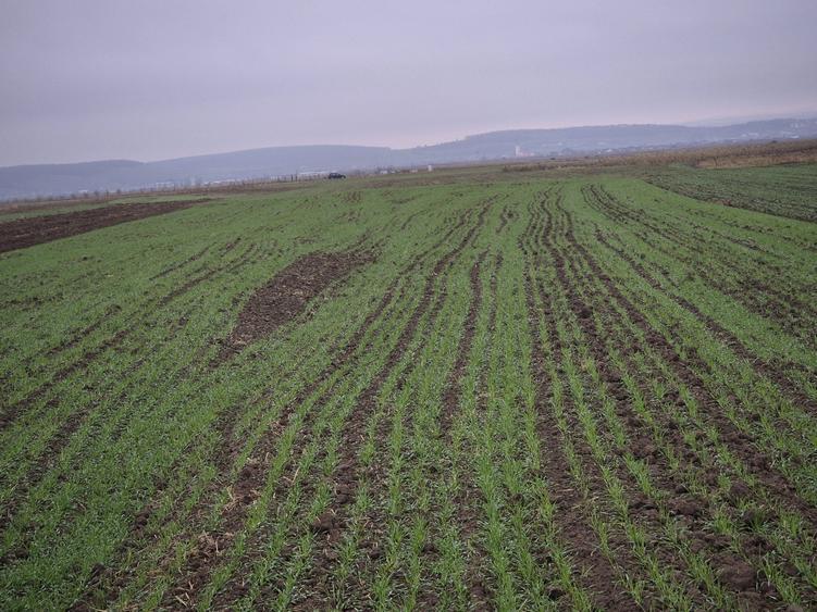 Vand teren GURA RAULUI - 1