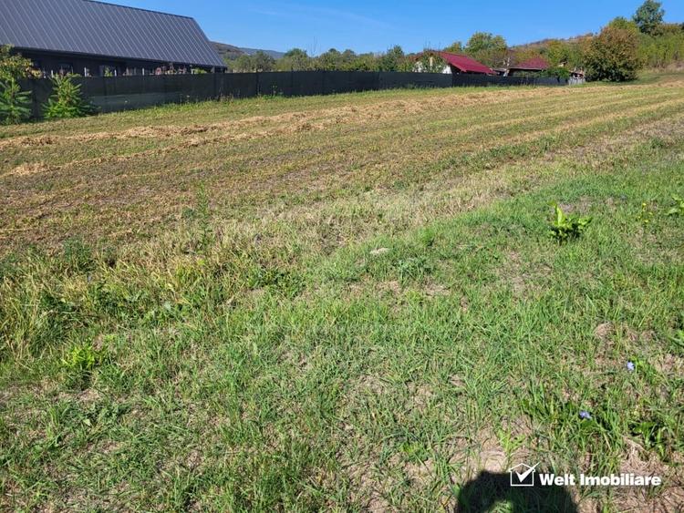 Teren de vanzare – Popesti Vale, 3600 mp - 2