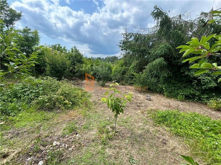 Casa tip parter zona Magura - 15