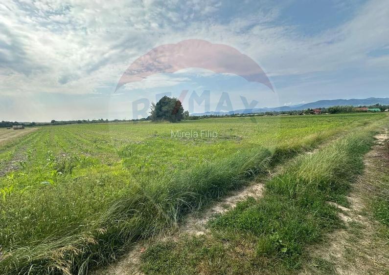 DE VANZARE- Teren INTRAVILAN in Coltau DE VANZARE- Teren INTRAVILAN in Coltau
