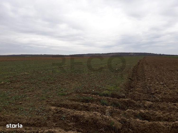 RECO Teren in Santandrei 29 100mp - 2