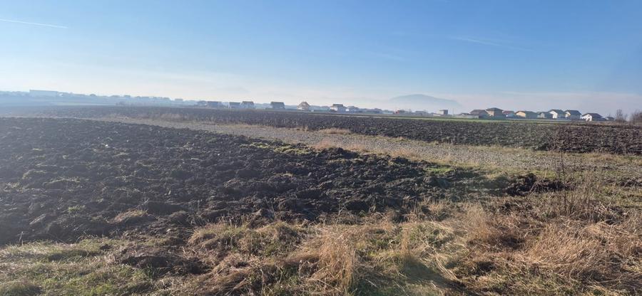 Teren extravilan intrare Bod din Sanpetru pentru investitie sau parcelare - 5