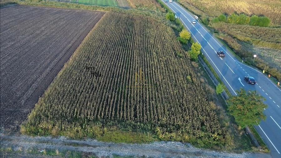 Teren de 7100 mp, în Șcheia