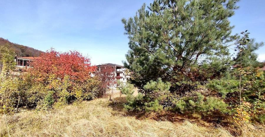 Teren Intravilan Bunloc - 10