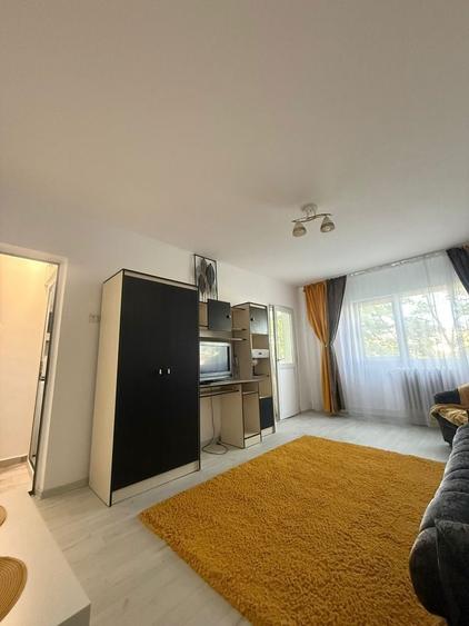 Inchiriez apartament cu o camera zona Lidl Nicolina - 5