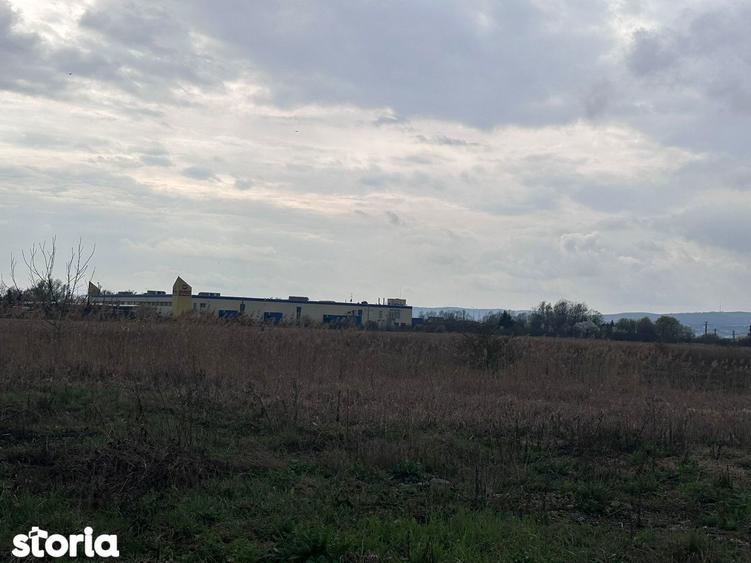 Teren intravilan industrial 26112 mp intre Selgros si Marso - Ernei - 7