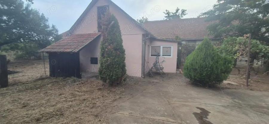 Vand casa in Sculia,Ora?ul Gataia,Jud Timi? (2158mp) - 5