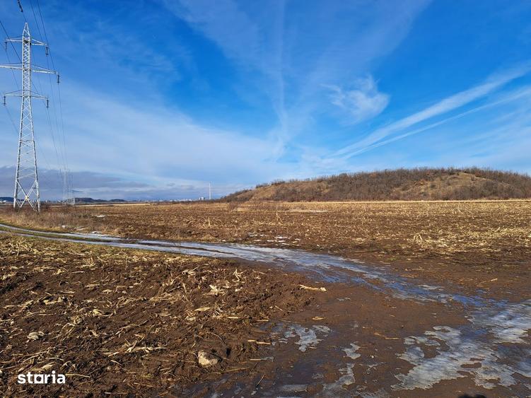 Teren extravilan locatie excelenta, proprietar, multiple posibilitati - 2