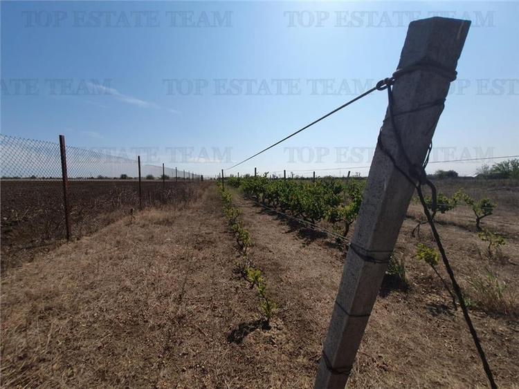 Teren intravilan agricol si teren curti constructii Lot 2 Parcela A326/49 - 7