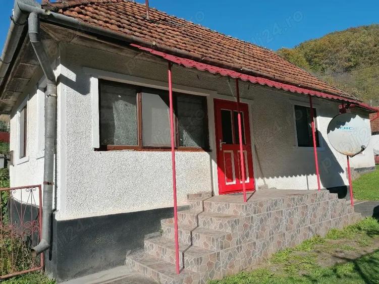 Casa de vanzare + teren si padure - 10