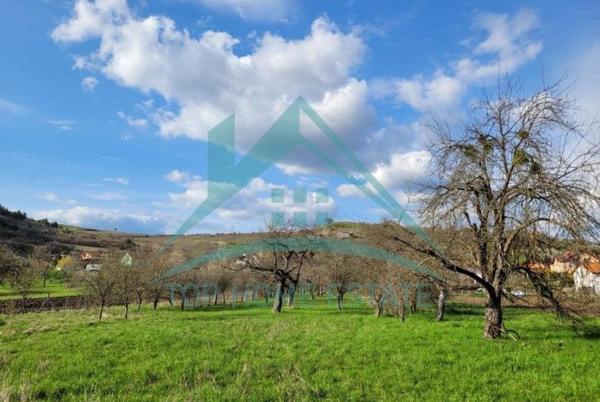 EXCLUSIVITATE! Teren intravilan de vanzare in zona linistita, sat Vlaha! - 1