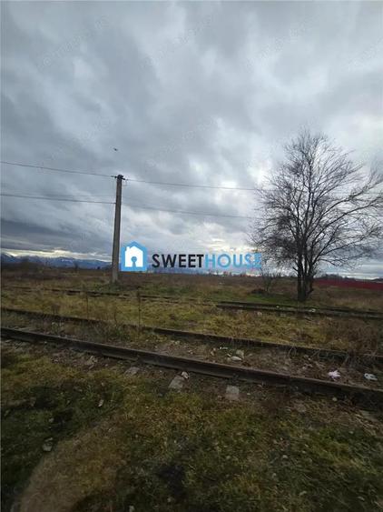 Terenuri de vanzare in Fagaras - 3