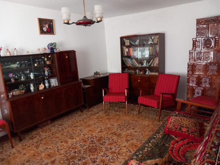 Casă de vânzare - jud. Buzău, Sat Lanurile, com. Ziduri - 13