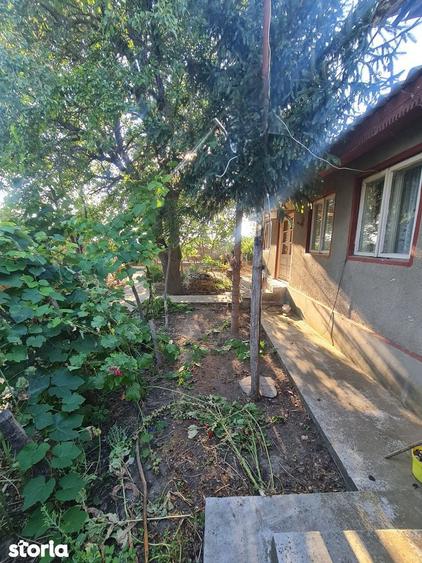 Ceamurlia de jos- casa batraneasca cu 3.200 mp teren - 4