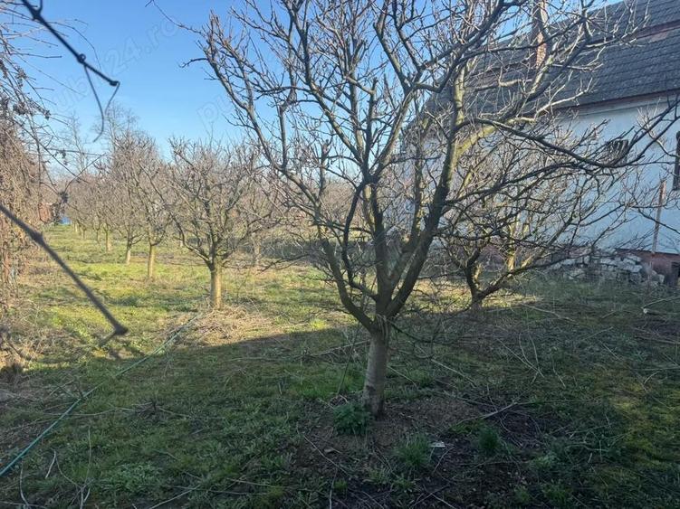 Vand 2 case in Inand - 4