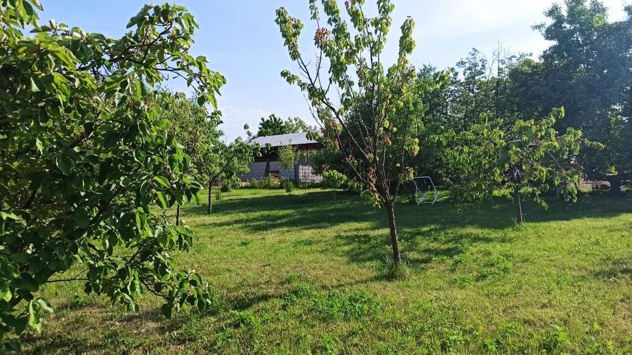 De vanzare 5 ha de teren - 4