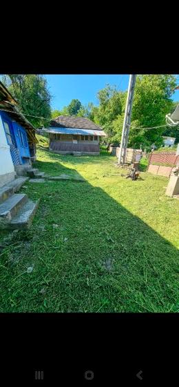 Gospodarie plus terenuri de vânzare  - 12