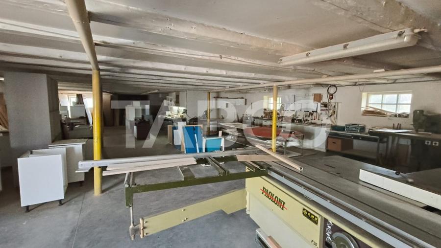 Platforma industriala cu cladiri de vanzare in Salistea de Alba - 5