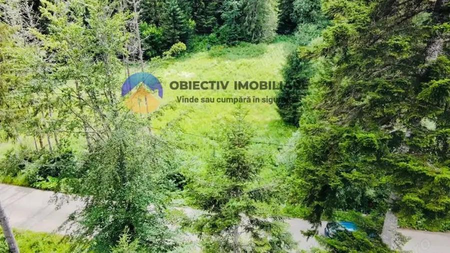 Teren intravilan sat Schitu Tarcau , comuna Tarcau - 1