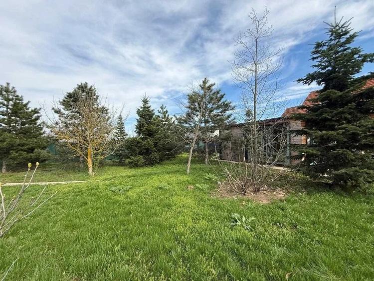 Teren plus tiny house, toate utilitatile, Snagov, deschidere 19 m - 4