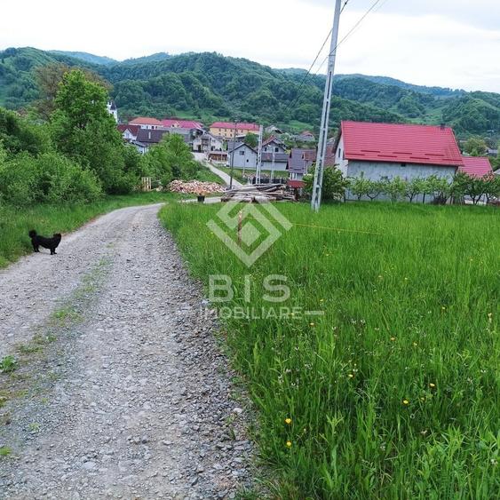 Teren 37.5 ari intravilan - 2