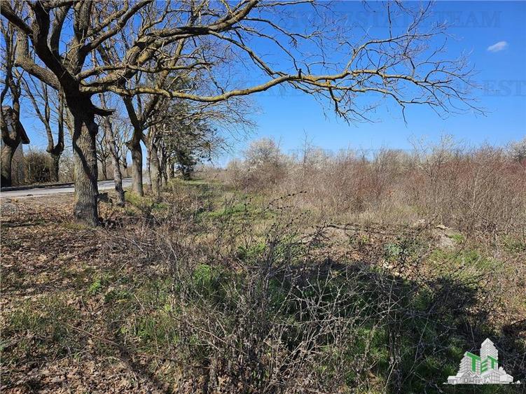 TEREN INTRAVILAN 24100 MP AGIGEA - 5