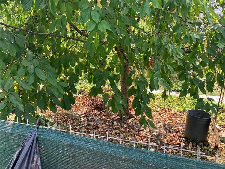 Casă individuală cu 3 camere cu Canalizare în Dancu