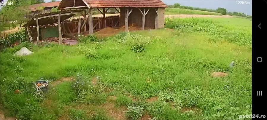 Vand casa la ?ara Salbadagiu de Barcau - 5