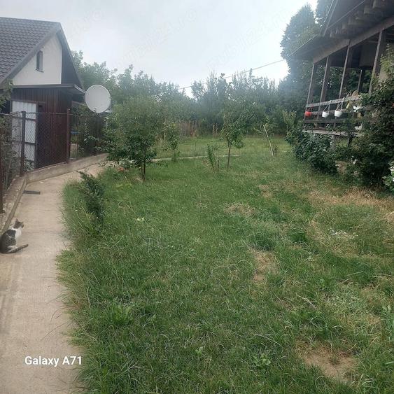 Casa din lemn,Zona Paun Barnova - 4