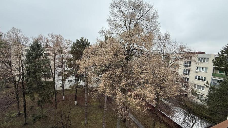 Apartament de 3 camere, la 2 minute de Platinia Mall/Plopilor - 13