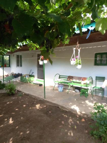 Casa batraneasca 2 corpuri - loc. Mircea Voda, Tulcea - 10